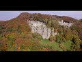 LO SPIRITO DEL BOSCO