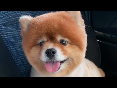 方剂学 上中医版 100首方歌（1-70）