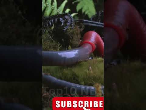 Monster leech swallows giant worm - Wonders of the Monsoon