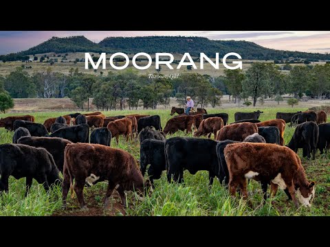 3215 Cracow Road, Taroom, QLD 4420, 3房, 2浴, 乡村住宅