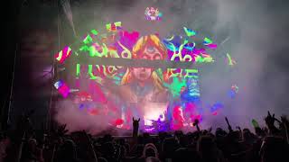 Wakaan 2019 LSDREAM - Ace of Cups