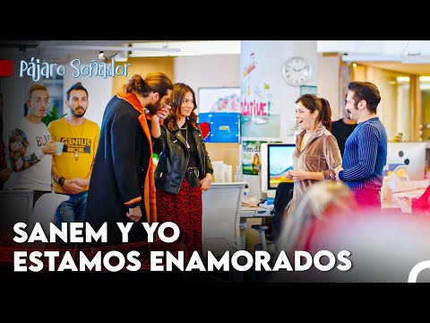Confesión Amorosa Que Conmociona A Los Empleados - Pájaro Soñador