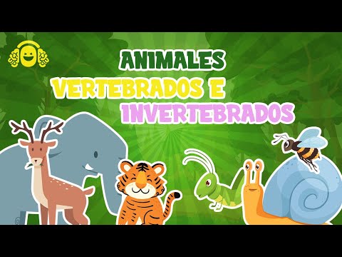 ANIMALES VERTEBRADOS E INVERTEBRADOS para niños.Vídeo educativo para niños