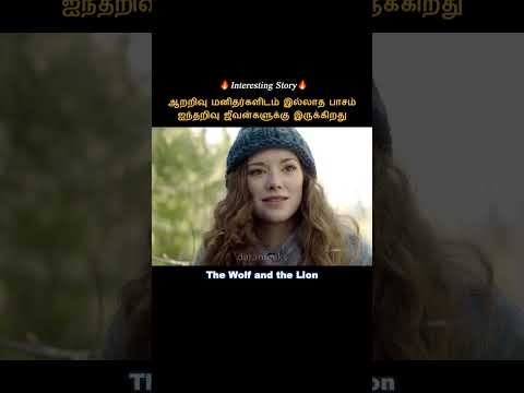 Animals have the affections more than humans #shorts #short