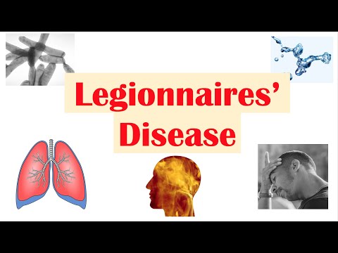 Schistosomiasis Bilharziasis Causes Symptoms and Treatment