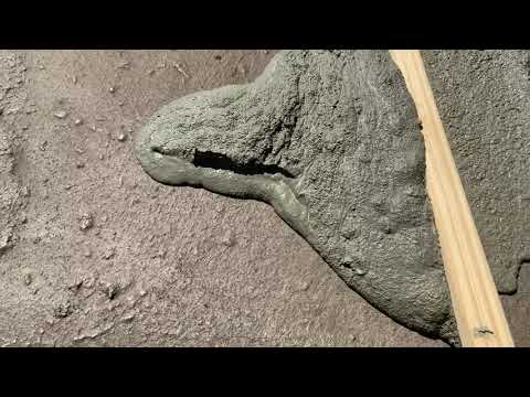 download lagu mp3 mp4 Flat Roof Ponding Filler, download lagu Flat Roof Ponding Filler gratis, unduh video klip Flat Roof Ponding Filler