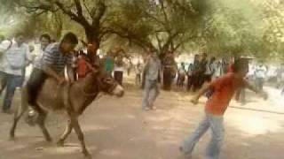 preview picture of video 'carrera de burros de la prepa # 8. 2010.'