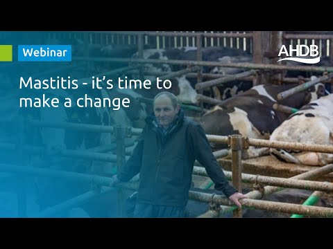 Mastitis - it’s time to make a change