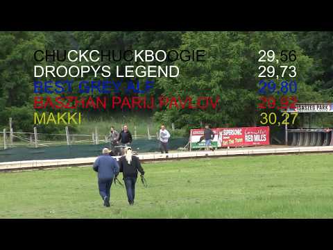 Czech Derby Trial Stakes Greyhound 485m