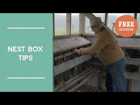 Laying Hen Nest Box Tips | Farm Like a Lunatic with Joel Salatin