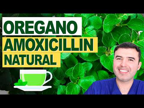 🌿 OREGANO The most POWERFUL natural antibiotic you have at home (use it like this)