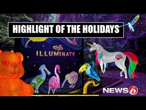 Florida Trend Video Pick - Video