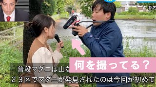 カメラマンが何を撮ってるか気になりませんか？