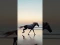 Muthu Bgm Rajni AR Rahman Bgm