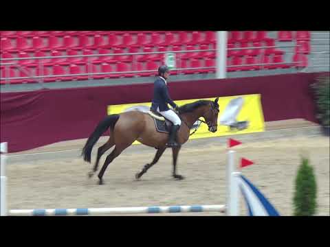 ALLE WELT 7j. v. Lordanos - As di Villagana