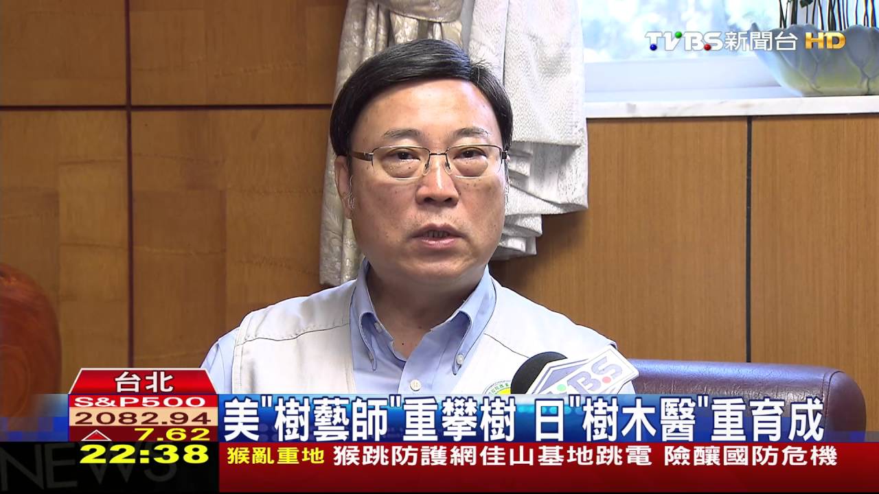 自己樹自己醫 台灣樹醫證照明年上路