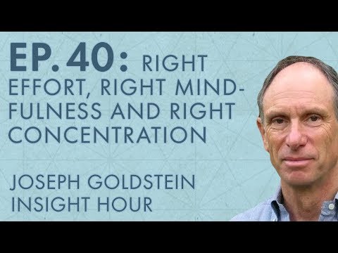 Joseph Goldstein – Insight Hour – Ep. 40 – Right Effort, Right Mindfulness and Right Concentration