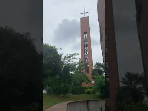 Le campane di Lodi - chiesa parrocchiale di Sant'Alberto Vescovo - concerto solenne in E.M. corto