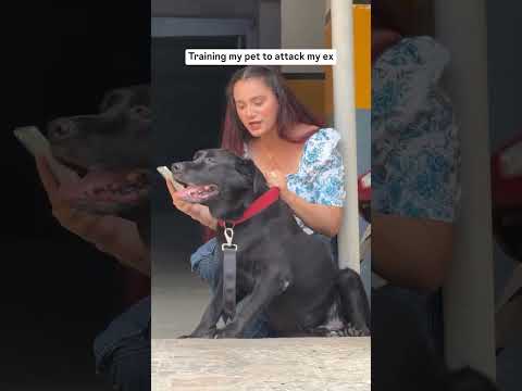 Training my Pet to Attack on my Ex | Jaspreet Dyora | Funny video