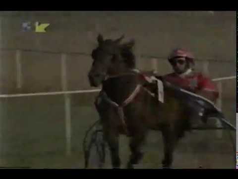 MERRIE VICTORY 1:18,0 "Knez Mihajlo"2200m-Požarevac 2004