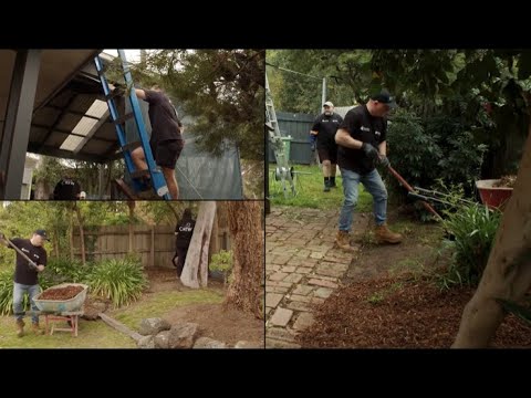 Backyard Blitz video