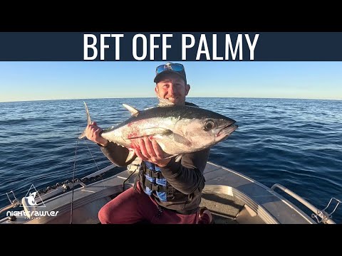 BFT OFF PALMY!