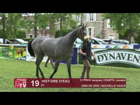 Sprinter Sacré Show 2019 : Lot 19 - HISTOIRE D'EAU