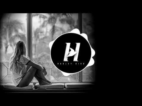 narayan x harley bird - show me the way