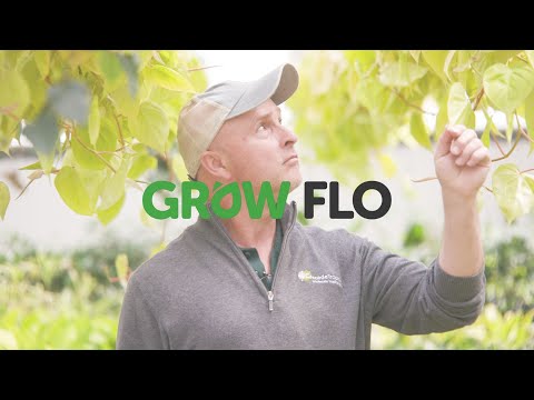 Growflo - Testimonial featuring Cascade Tropicals