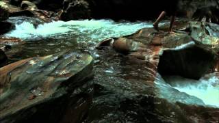 Black Horse & The Cherry Tree - KT Tunstall (Cover by Heaven Lee Cansler)