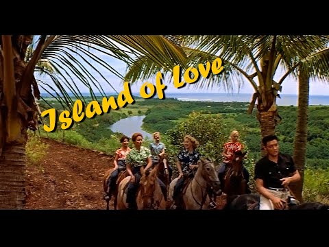 Island Of Love cover
