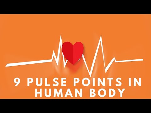 9 Pulse Points In Human Body |  Pulse Assessment
