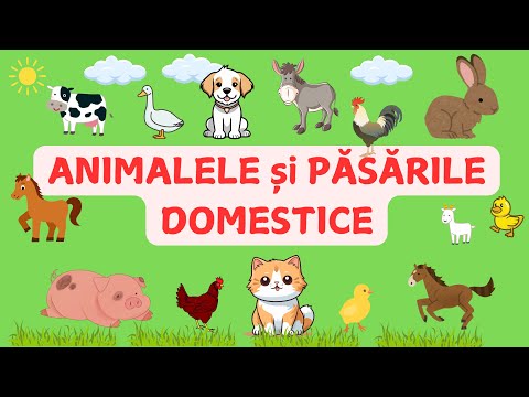 Animalele si pasarile de la Ferma | Animalele domestice | Casuta Cunoasterii | Educativ pentru copii