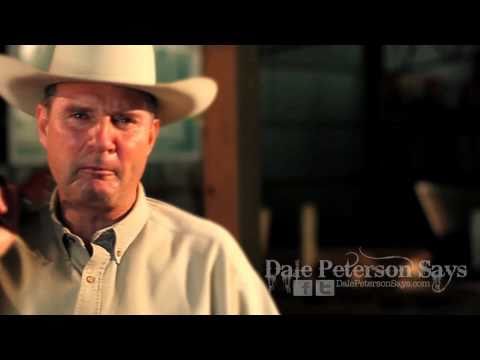 Dale Peterson Says: Send King Roy Barnes back home to his Georgia castle