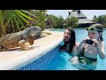 CRAZY POOLS and NEW ANiMALS in MEXiCO!! Family Vacation visiting Cancun with Mom Adley Niko & Navey
