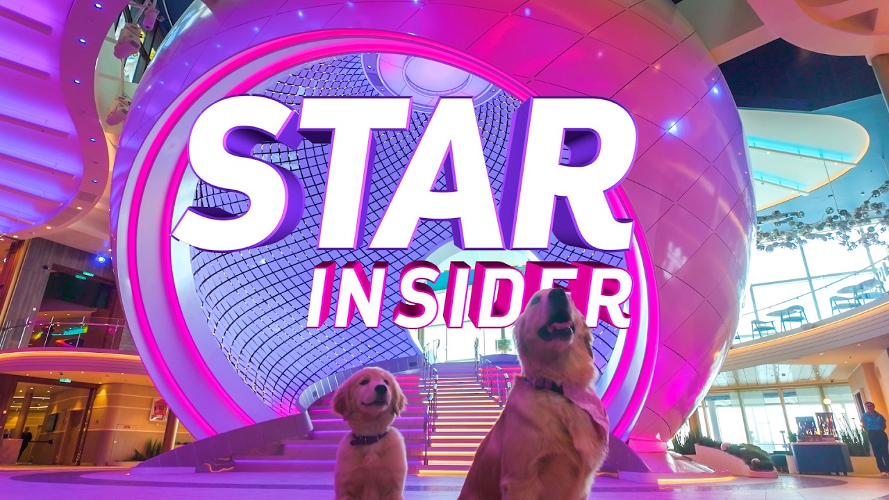 Star Insider | Meet Sailor, Chief Dog Officer on Star of the Seas