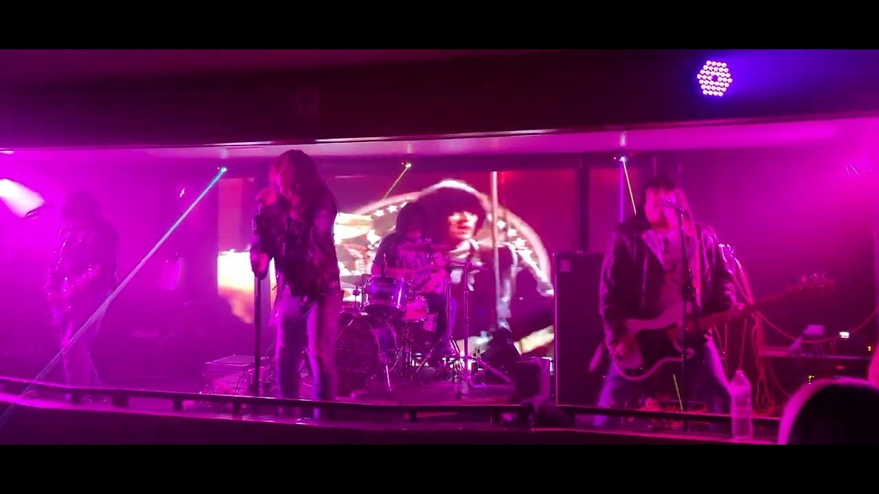 Promotional video thumbnail 2 for The Rockaways - Ramones Tribute Band