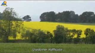 preview picture of video 'Die Haffküste der Insel Usedom'