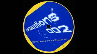 If You Were A Cat You'd Follow Me (Hive Mix) / Appleheadz ‎/ RVNS-002 [1996]