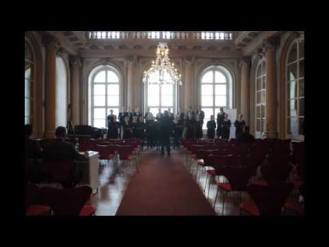 Vaclovas Augustinas - „Anoj pusėj Dunojėlio“ (by VMU mixed choir Vivere Cantus)