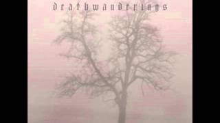 Procer Veneficus -  II