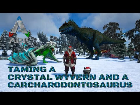 Taming A Crystal Wyvern And My First Carcharodontosaurus Ark Survival Evolved Crystal Isles Ep 78