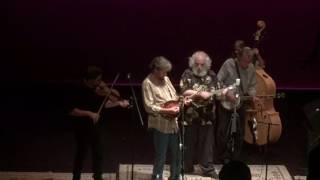 David Grisman bluegrass experience with guest Drew Emmitt 6-24-16  Crested Butte Shady Grove