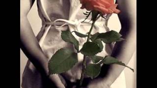 كلمات اغنية عيني ع الغرام رامي عياش