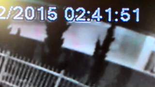 preview picture of video 'Ladrões explodem caixa eletrônico no Centro de Nova Veneza'