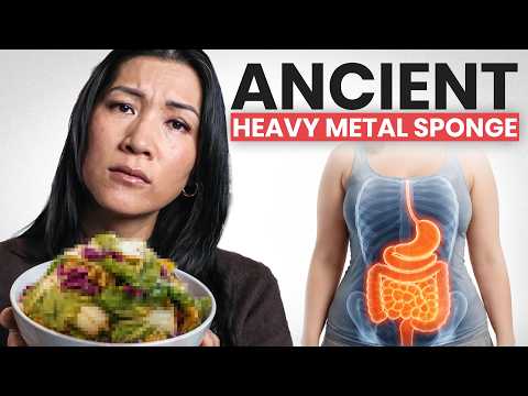 The ANCIENT Gut Bacteria That GRABS Heavy Metal