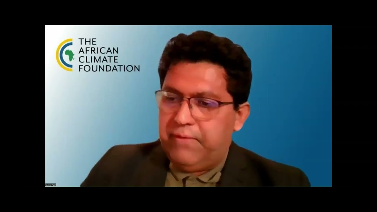 Salim Fakir - The 'smart' use of philanthropy in Public-Private-Partnerships (PPPs)