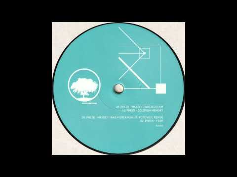 Pheek - Maybe It Was A Dream (ISA003)