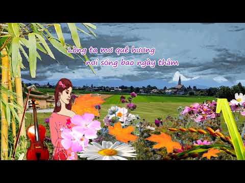 Ý nhạc chiều - Kim Tước