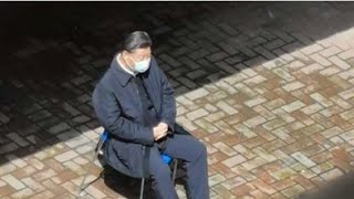习继续神隐,家人及陕西领导未出席关中革命博物馆开幕式|马斯克退出川普草台班子,两人闹翻|